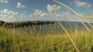 Lire la suite à propos de l’article En projet.. Teaser Itsamia, le village aux cinq mille tortues