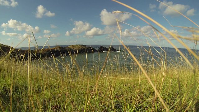 Lire la suite à propos de l’article En projet.. Teaser Itsamia, le village aux cinq mille tortues